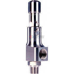 Safety valve LESER 437