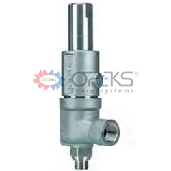 Safety valve LESER 462