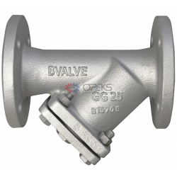Coarse filter Bvalve BV12065
